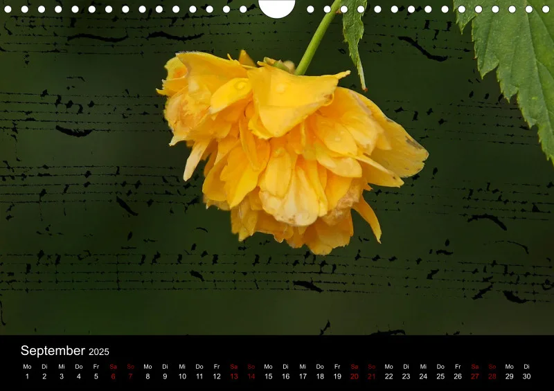 Composing - A4 - 2025