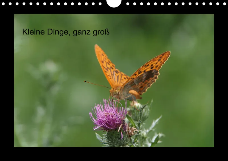 Kleine Dinge - groß - A 4 - 2025