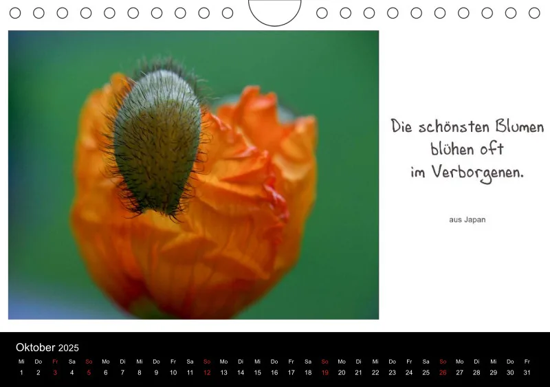 Harmonie im Einklang mit der Natur - A 5 - 2025