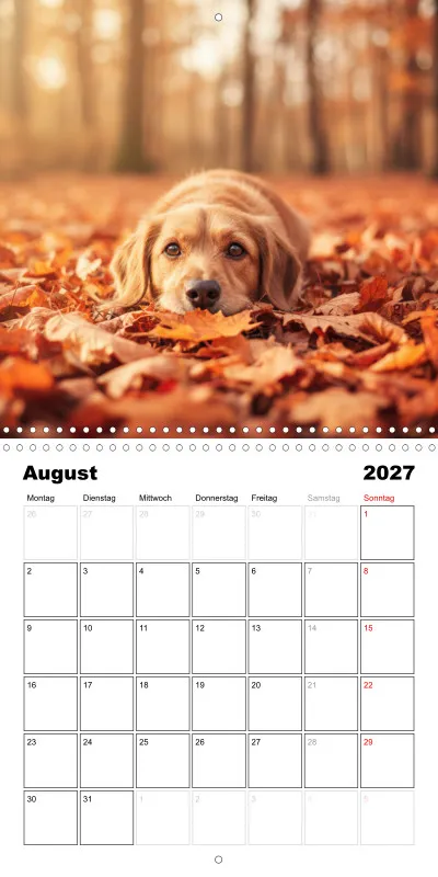 Benny - Kalender 2027