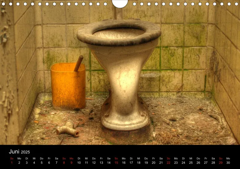 Beauty in Decay - A 4 - 2025