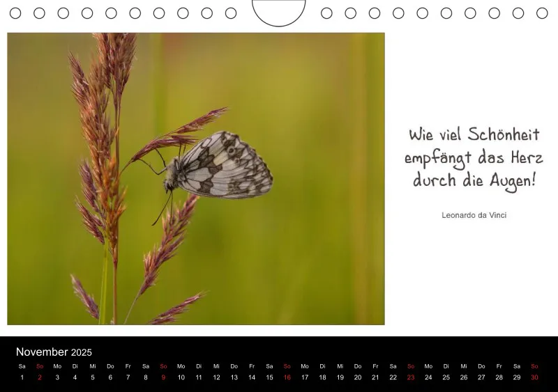 Harmonie im Einklang mit der Natur - A 5 - 2025