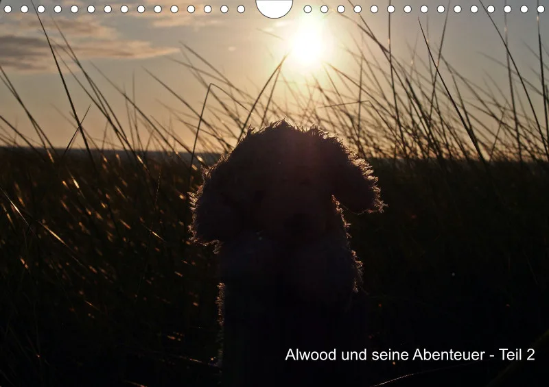 Alwood und seine Abenteuer - Teil 2 - A4 - 2025