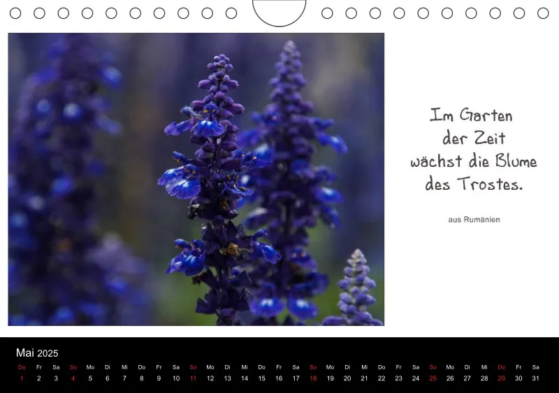 Harmonie im Einklang mit der Natur - A 5 - 2025
