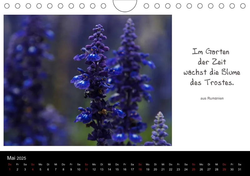 Harmonie im Einklang mit der Natur - A 5 - 2025