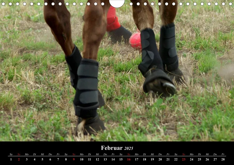 Polocrosse-Impressionen - A 4 - 2025
