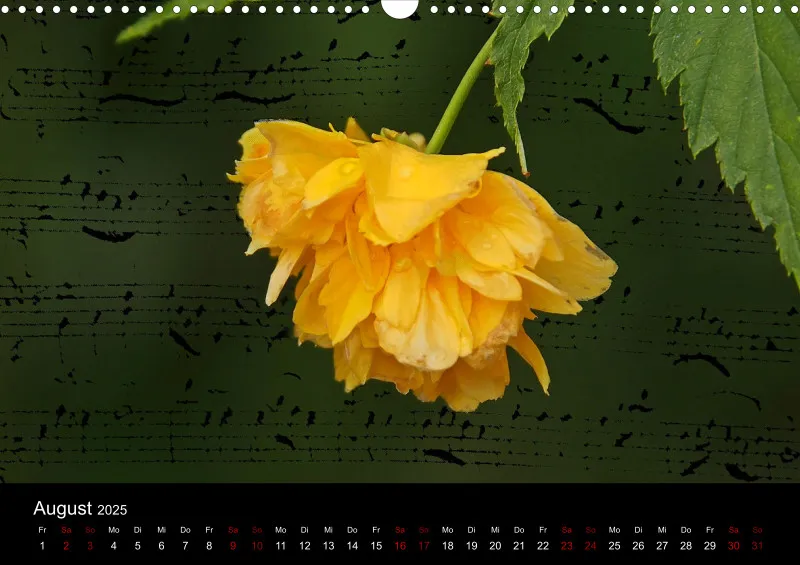 Composing A 3 - 2025