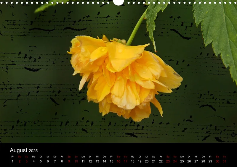 Composing A 3 - 2025