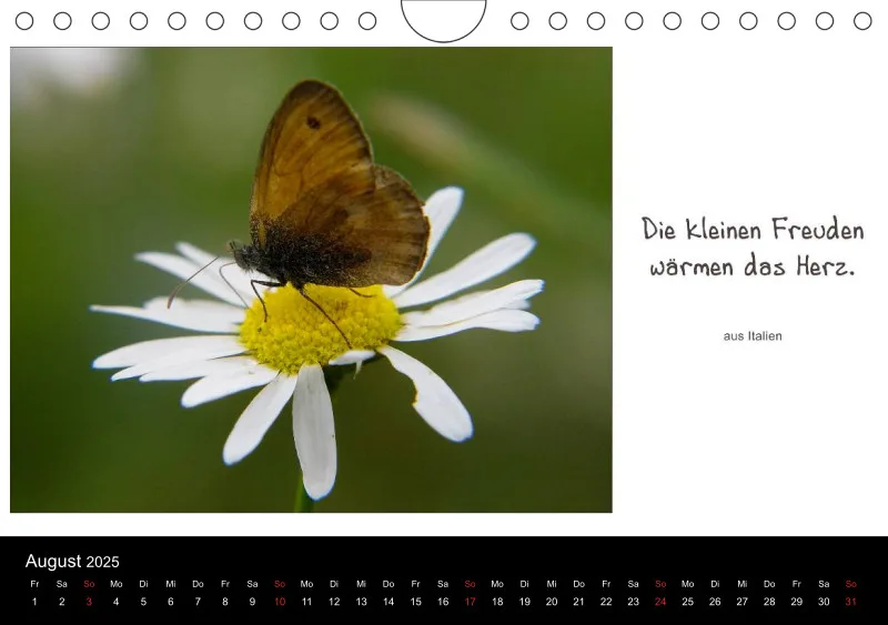 Harmonie im Einklang mit der Natur - A 5 - 2025