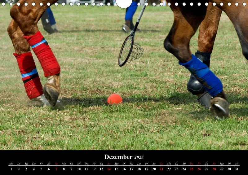 Polocrosse-Impressionen - A 4 - 2025