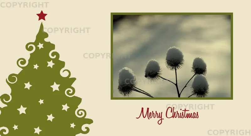 Frohe Weihnachten