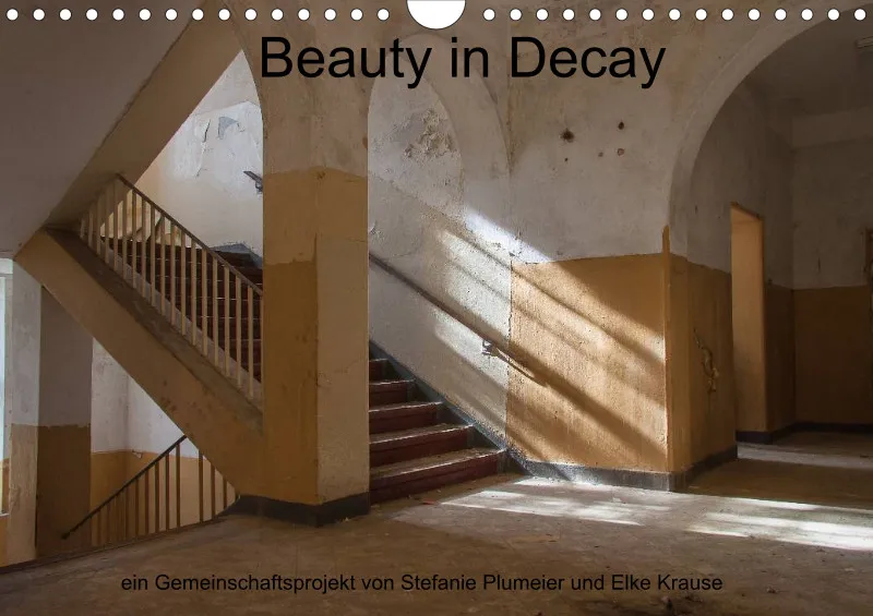 Beauty in Decay - A 4 - 2025