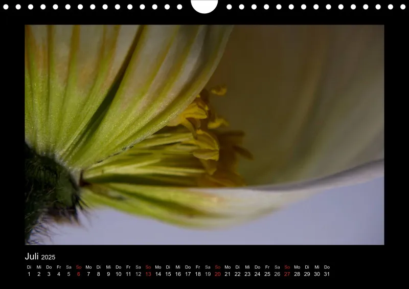 Mohn-(Träume) A 4 - 2025