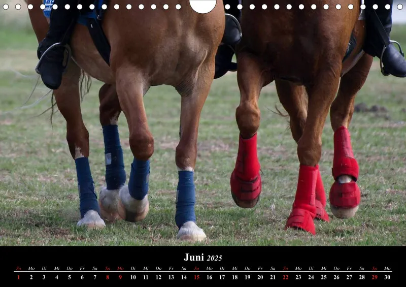 Polocrosse-Impressionen - A 4 - 2025