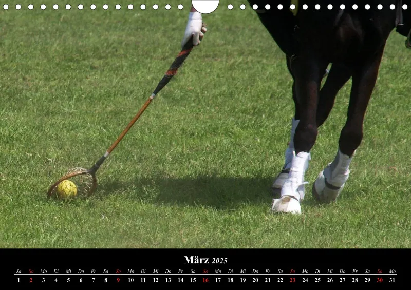 Polocrosse-Impressionen - A 4 - 2025