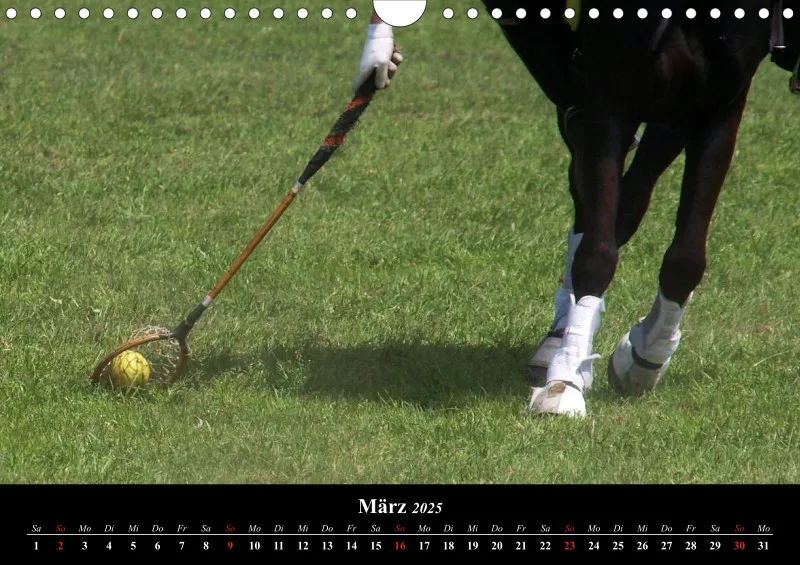 Polocrosse-Impressionen - A 4 - 2025