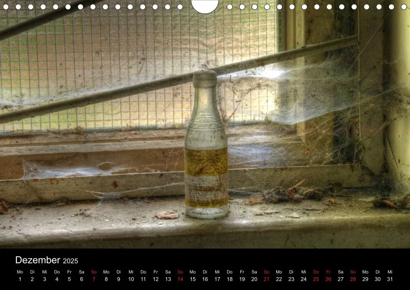 Beauty in Decay - A 4 - 2025