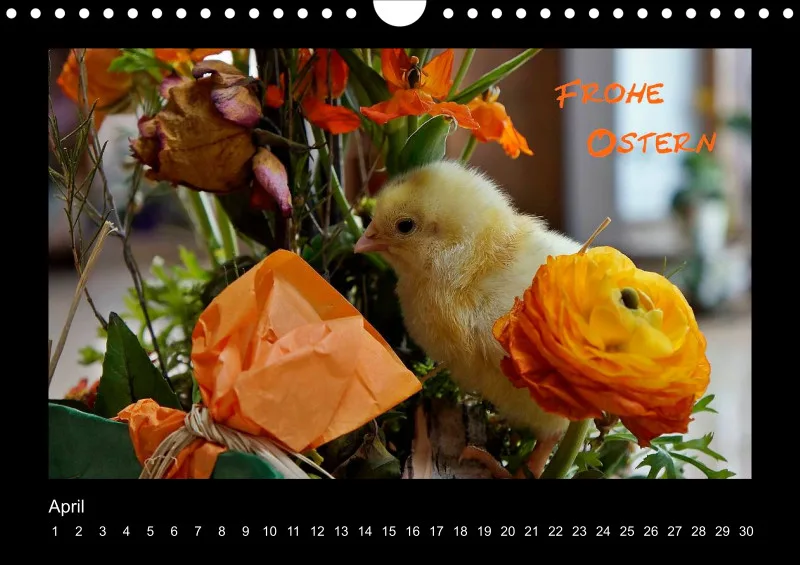 Postkartenkalender - immerwährend