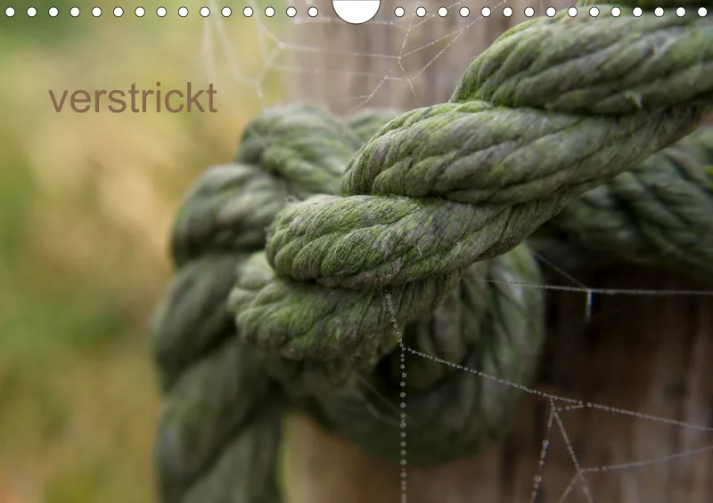 Verstrickt - A 4 - 2027