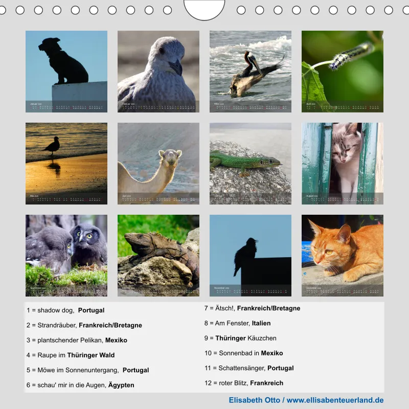tierisch unterwegs 2026 - ein fotografisches Reisetagebuch