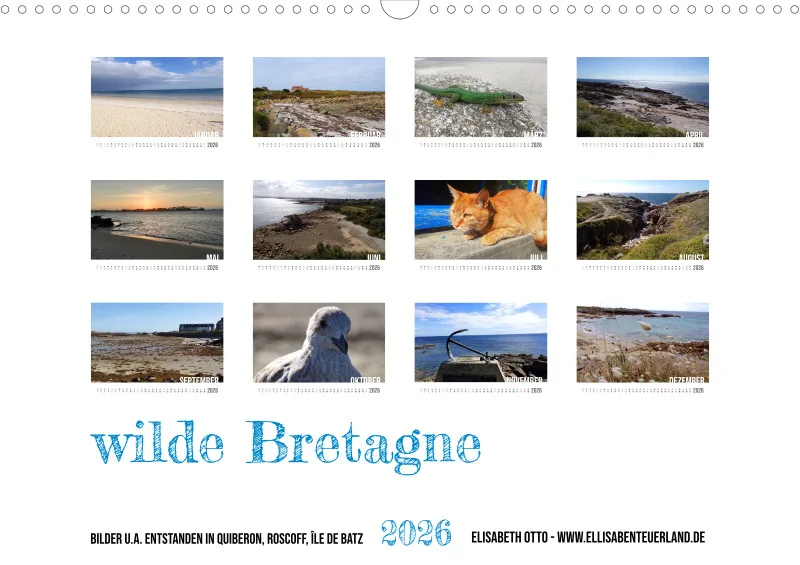 wilde Bretagne 2026