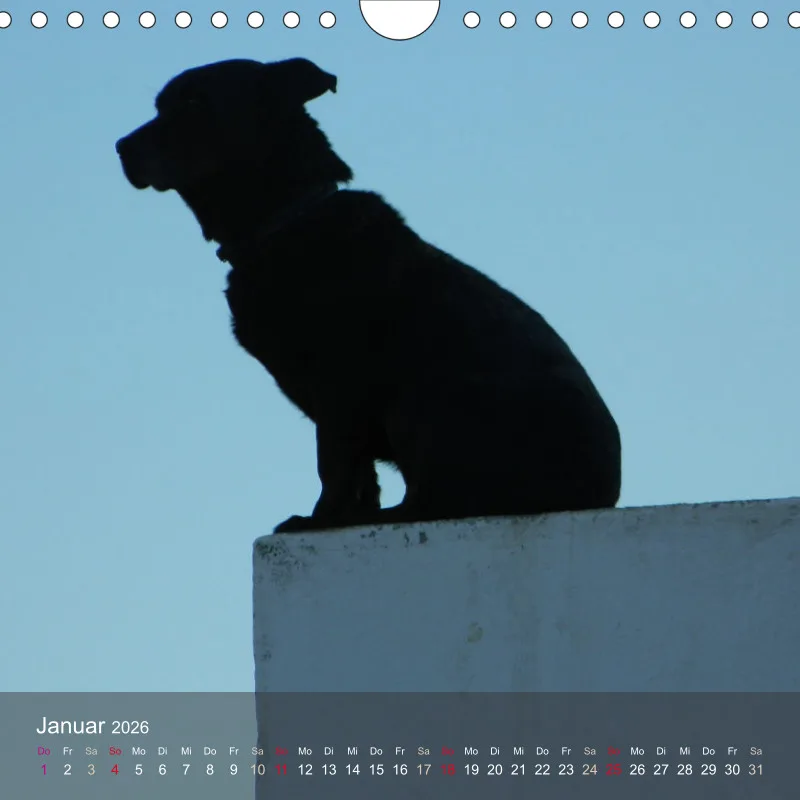 tierisch unterwegs 2026 - ein fotografisches Reisetagebuch