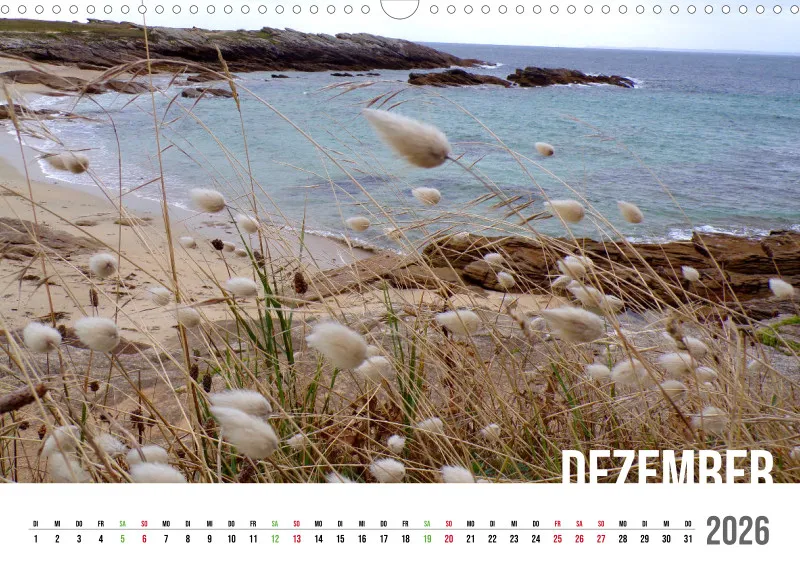 wilde Bretagne 2026