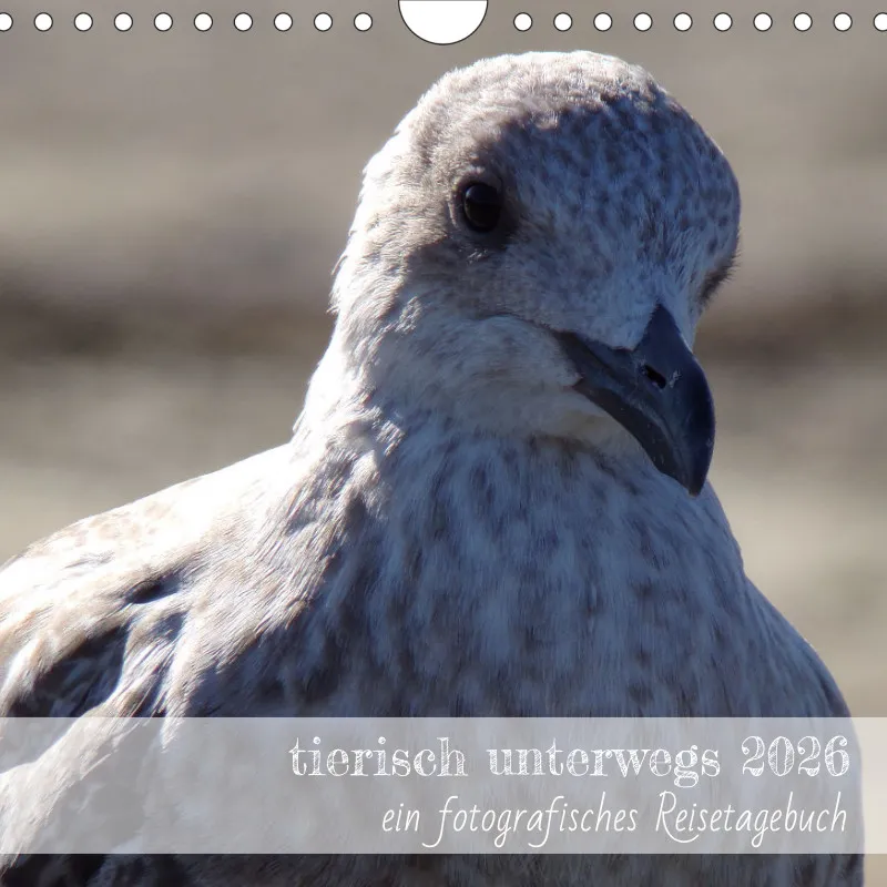 tierisch unterwegs 2026 - ein fotografisches Reisetagebuch