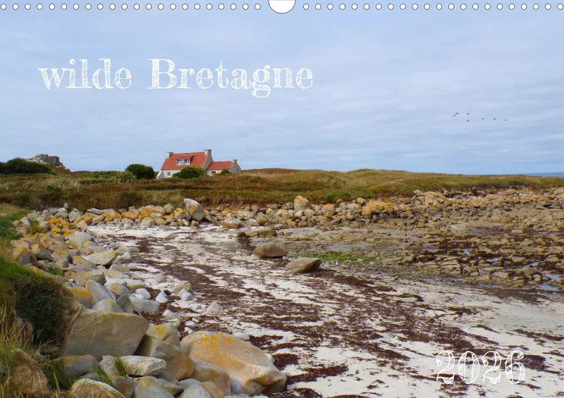 wilde Bretagne 2026