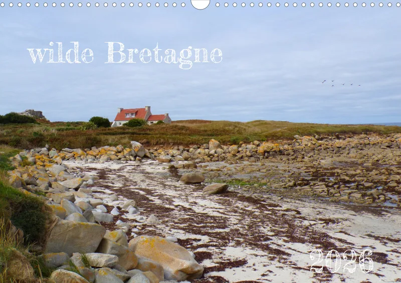 wilde Bretagne 2026