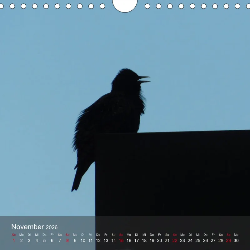 tierisch unterwegs 2026 - ein fotografisches Reisetagebuch