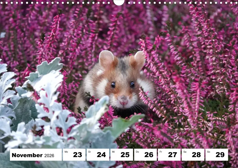 Wochenkalender 2026 -A3