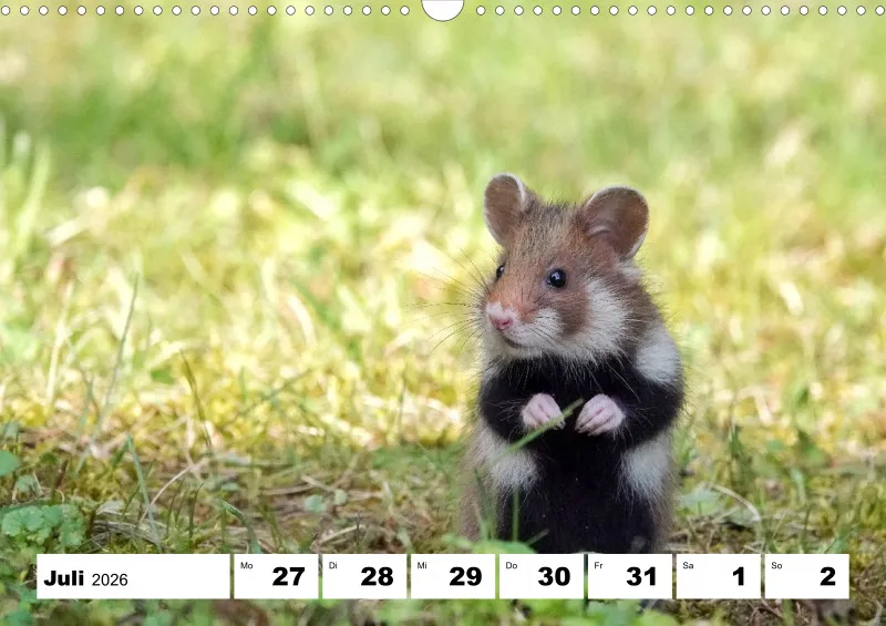 Wochenkalender 2026 -A3