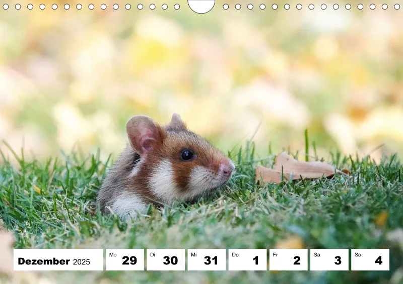 Wochenkalender 2026 -A4
