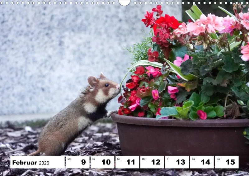 Wochenkalender 2026 -A3