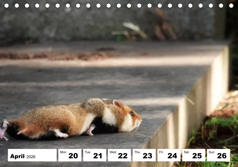 desk calendar 2026