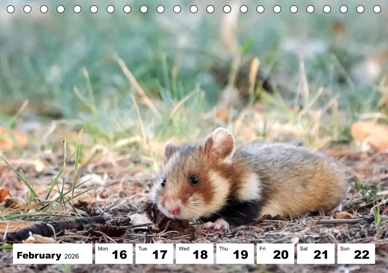 desk calendar 2026