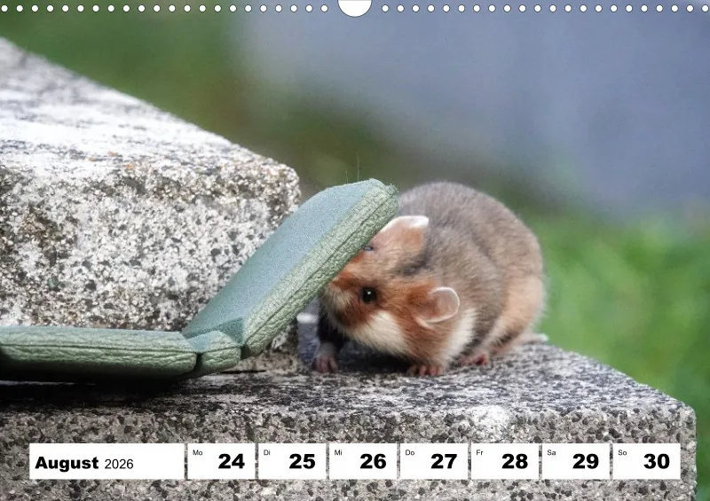 Wochenkalender 2026 -A3