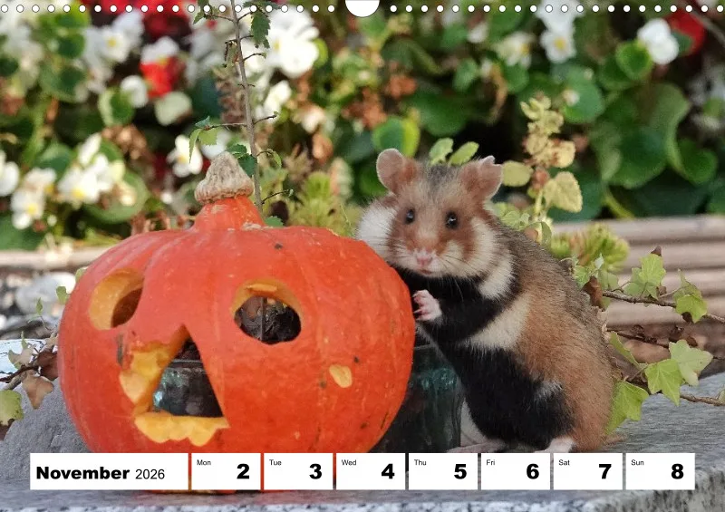 weekly calendar 2026 -A3