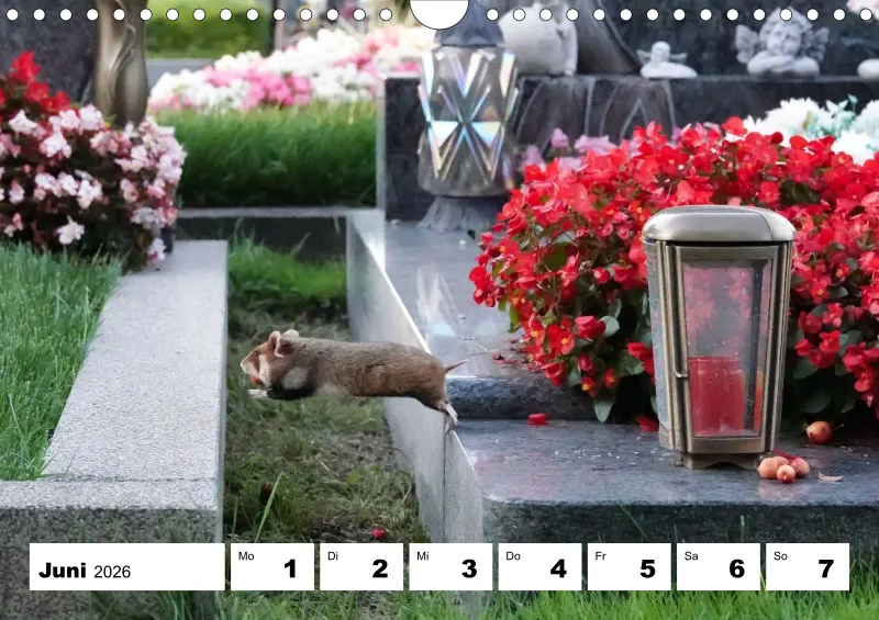 Wochenkalender 2026 -A4