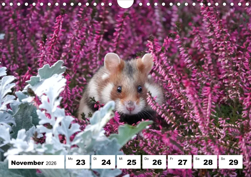 Wochenkalender 2026 -A4