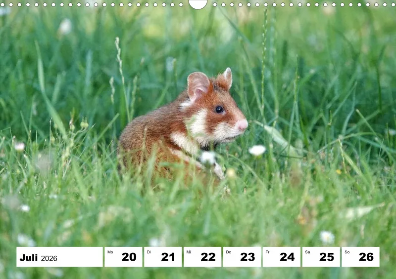 Wochenkalender 2026 -A3