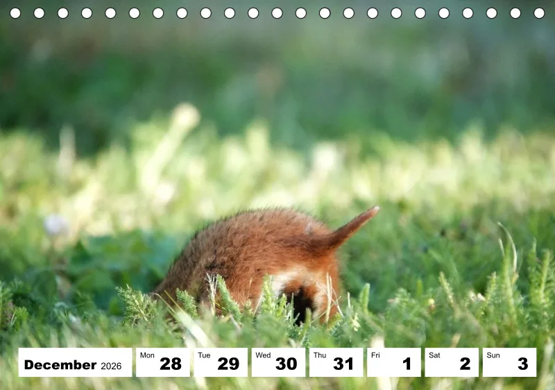 desk calendar 2026