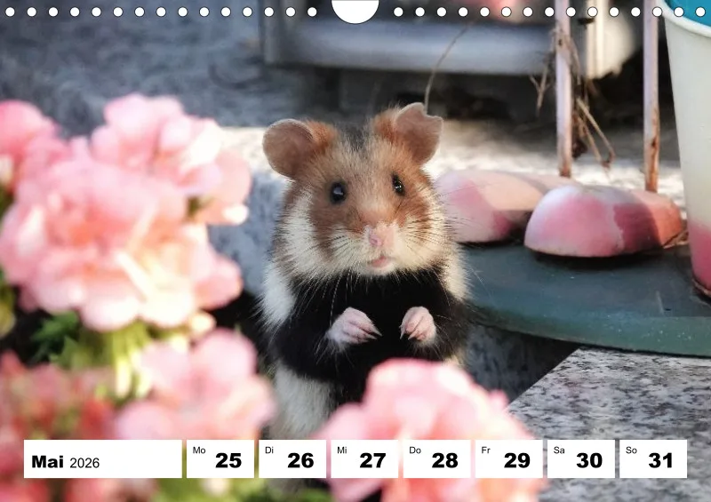 Wochenkalender 2026 -A4