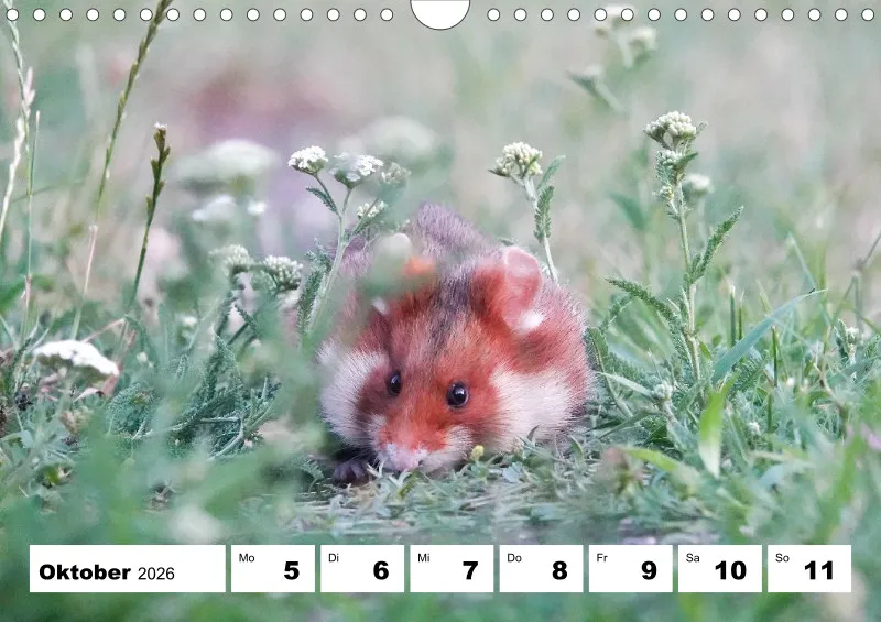 Wochenkalender 2026 -A4