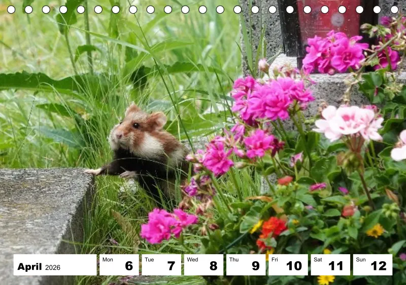 desk calendar 2026