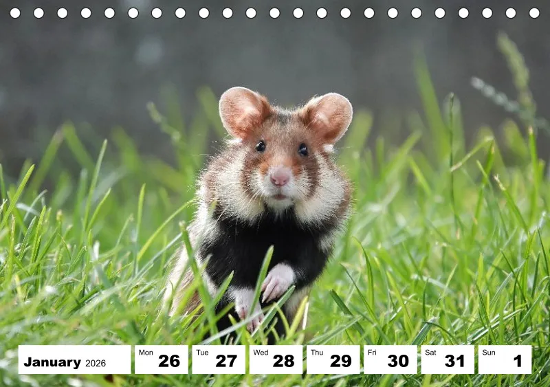 desk calendar 2026