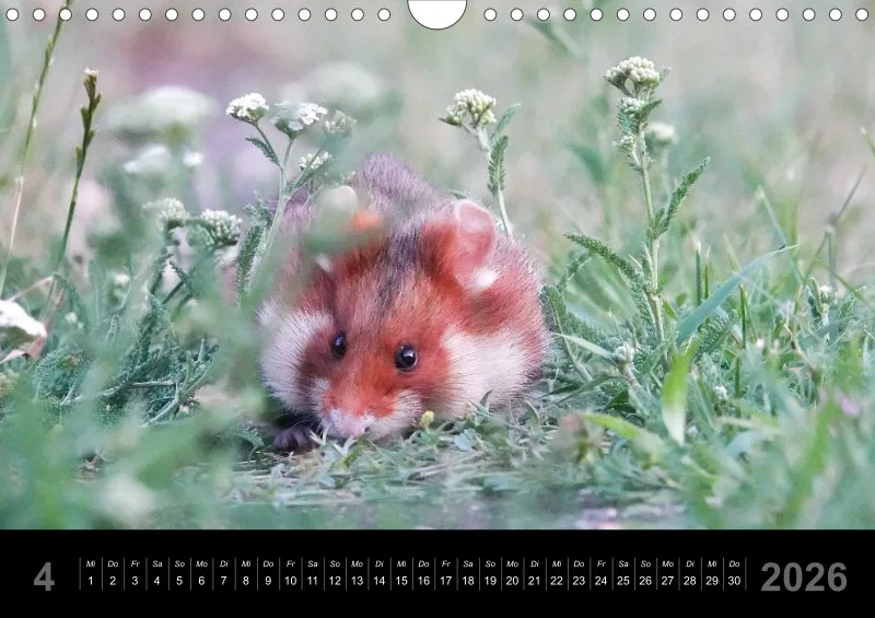 Monatskalender 2026 - A4