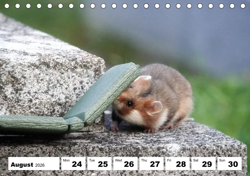 desk calendar 2026