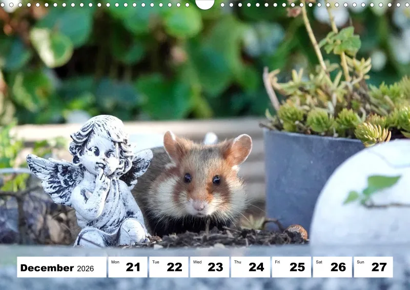 weekly calendar 2026 -A3